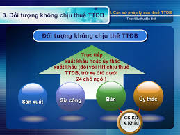 TrƯỜng HỢp XuẤt KhẨu KhÔng ChỊu ThuẾ TiÊu ThỤ ĐẶc BiỆt