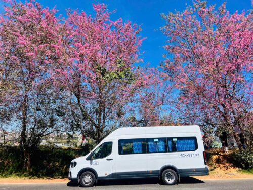 Các tuyến đường phổ biến từ các thành phố lớn đi Cà Mau bạn nên biết